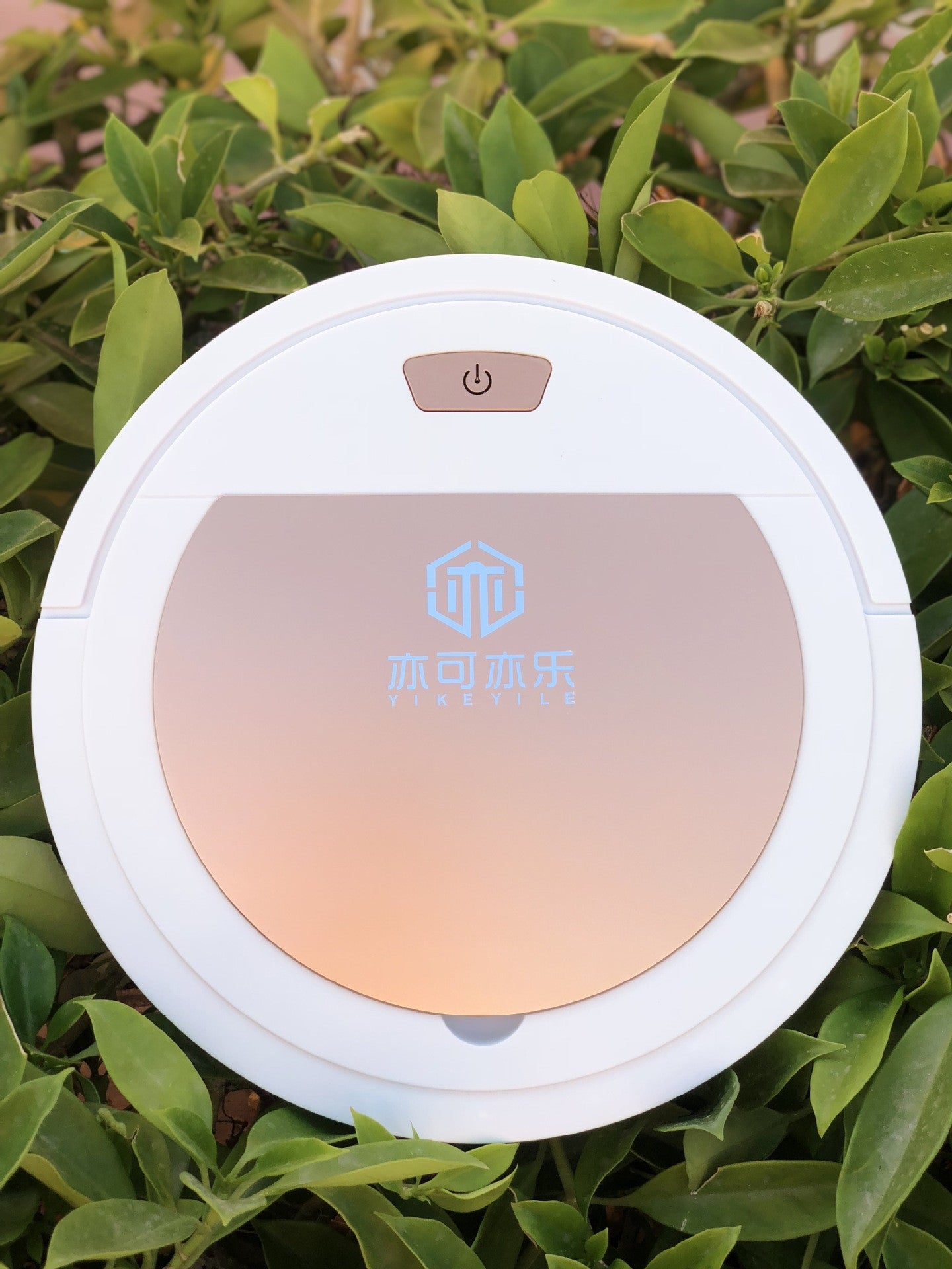 Home Cleaning Robot