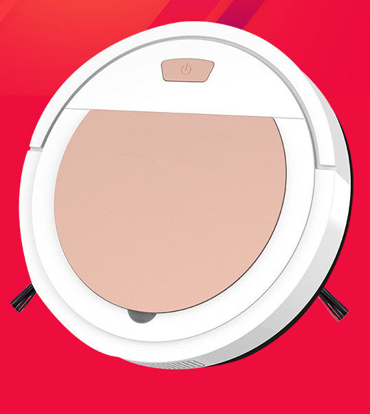 Home Cleaning Robot